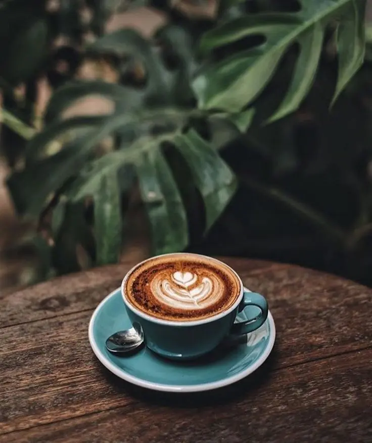 Best Bakery in Wayanad – Hot Coffee with Latte Art